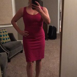 Ann Taylor Magenta Sheath Dress and Jacket